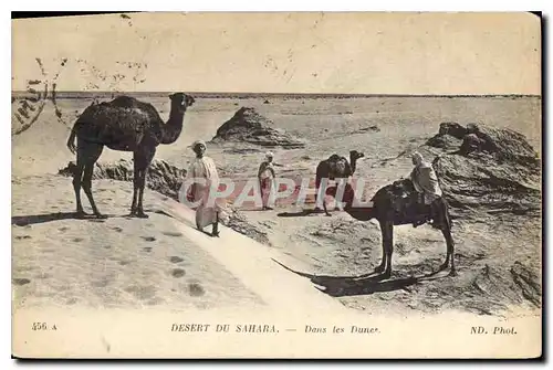 Cartes postales Desert du Sahara Dans les Dunes