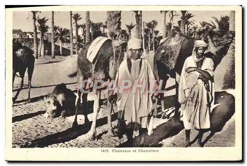 Cartes postales Chameaux et Chameliers