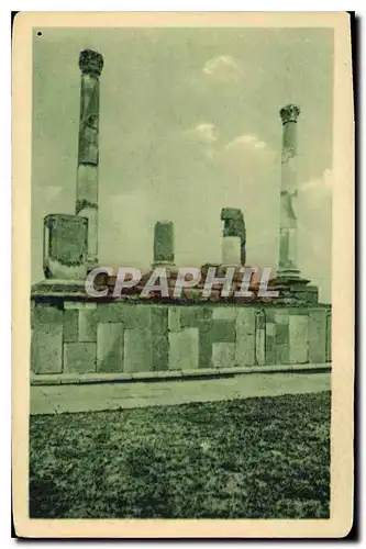 Cartes postales Timgad Tribune aux barangues du Forum
