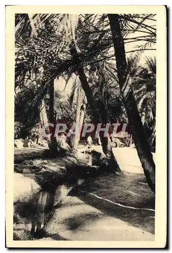 Cartes postales Dans le Vieux Biskra