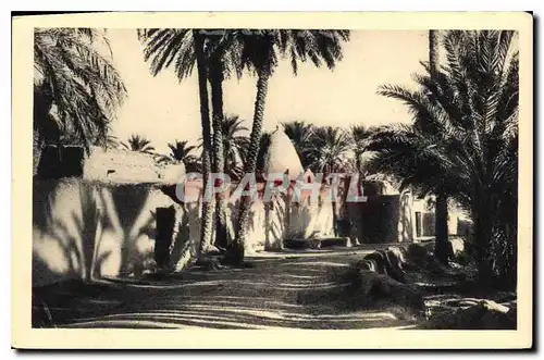 Cartes postales Dans le Vieux Biskra Mosquee de M Cid