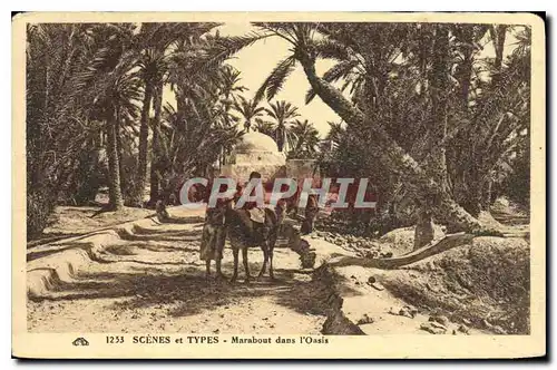 Cartes postales Scenes et Types Marabout dans l'Oasis