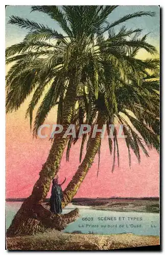 Cartes postales Scenes et Types La Prieure au bord de L'Oued