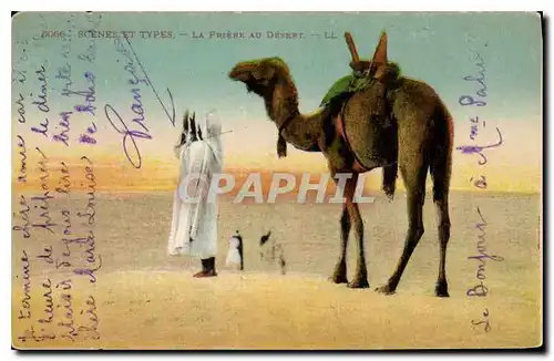 Cartes postales Scenes et Types La Prieure au Desert