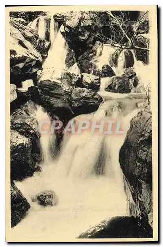 Cartes postales Blida Gorges de la Chiffa Les Cascades du Ruisseau des Singes