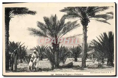 Cartes postales Scenes et Types Palmiers