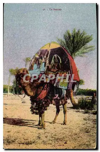 Cartes postales Un Bassour