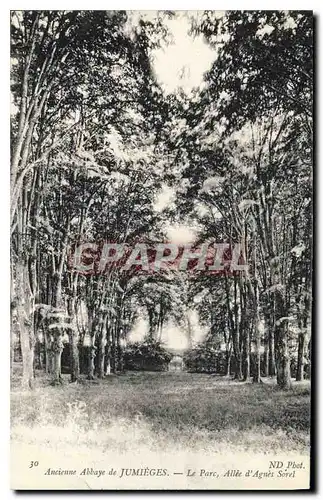 Cartes postales Ancienne Abbaye de Jumieges le Parc Allee d'Agues Sorel