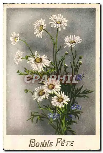 Cartes postales Bonne Fete Fleurs