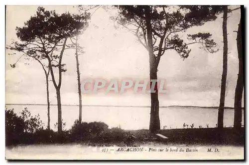 Ansichtskarte AK Arcachon Pins sur le bord du Bassin