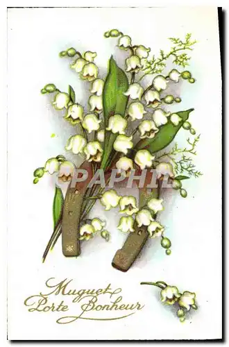 Cartes postales Muguet Porte Bonheur Fleurs