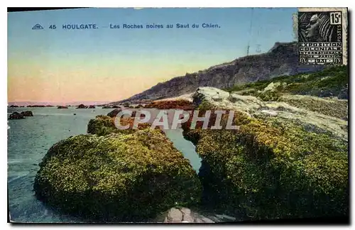 Cartes postales Houlgate les Roches noires au Saut du Chein