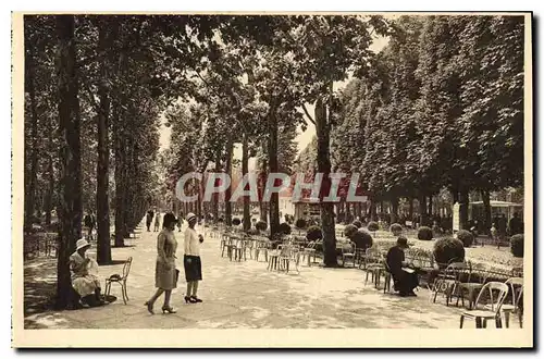Cartes postales Vichy Allier Une Allee du Parc des Sources