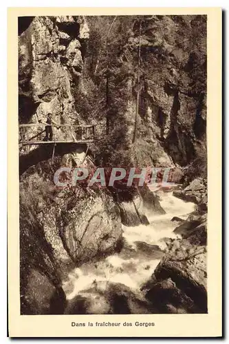 Cartes postales Dans la Frtaicheur des Gorges Gorges de la Diosaz