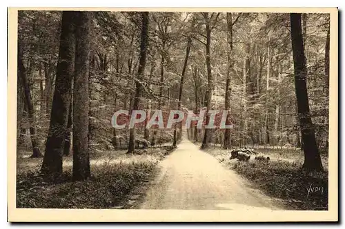 Ansichtskarte AK Fontainebleau S et M la Foret Route Ronde