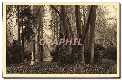 Ansichtskarte AK Fontainebleau S et M Jardins du Palais Allee des Platanes