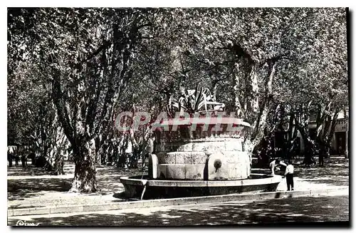 Cartes postales Cote d'Azur Saint Tropez Var La Place des Lys