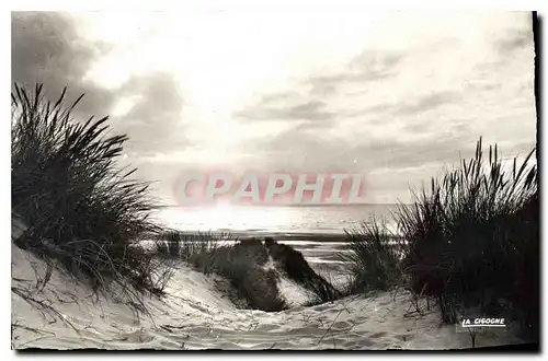 Ansichtskarte AK Coucher de Soleil sur les Dunes