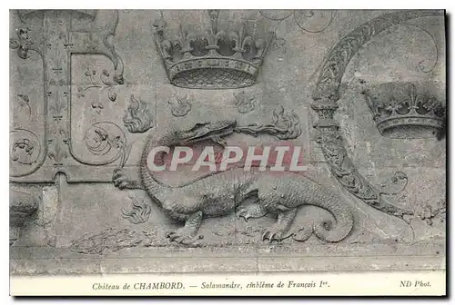 Cartes postales Chateau de Chambord Salamandre embleme de Francois I