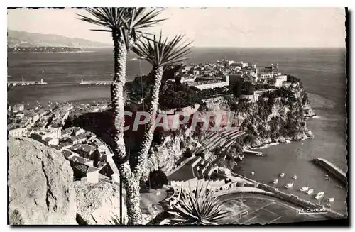 Cartes postales Le Rocher de Monaco Le Cap Martin et Italie