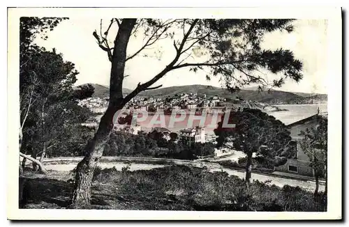 Cartes postales La Cote Vermeille Banyuls sur Mer Vue a travers les Pins