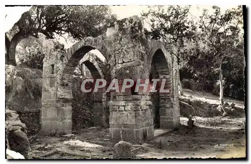 Cartes postales Rabat Chelle Ruines du Marabout du Sidi Yaya ben Younes