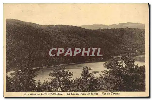 Ansichtskarte AK Rives du Lac Chambon La Grande Foret de Sapins Vue du Tartaret