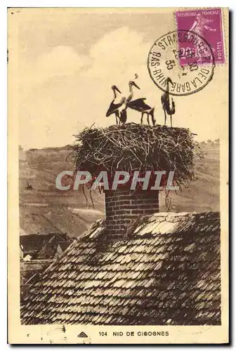 Cartes postales Nid de Cigognes