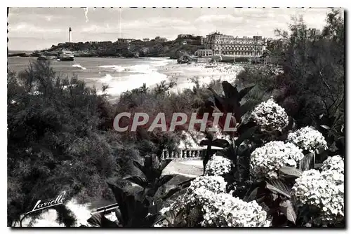 Ansichtskarte AK Biarritz Les Hortensias et vue sur le Phare