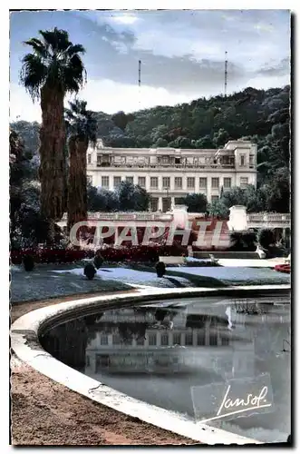 Cartes postales Alger Le Jardin d'Essai et le Musee