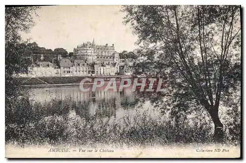 Cartes postales Amboise Vue sur le Chateau