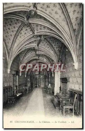 Cartes postales Chenonceaux Le Chateau Le Vestibule