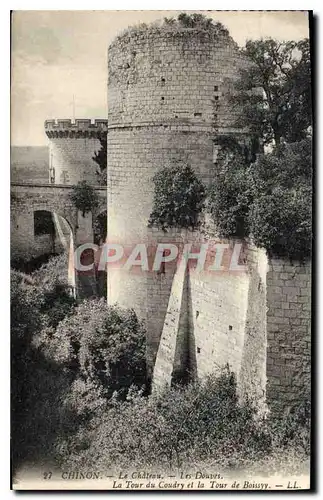 Cartes postales Chinon Le Chateau Les Douves La Tour du Coudry et la Tour de Boissyy