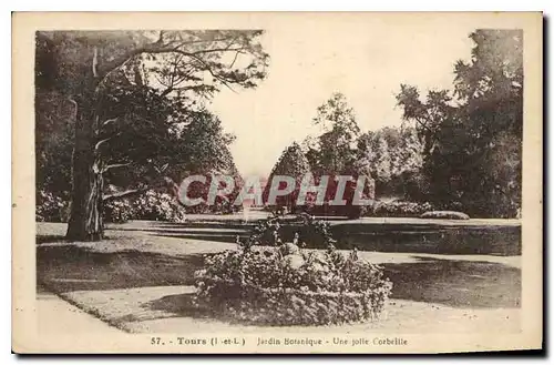 Cartes postales Tours Jardin Botanique Une jolie Corbeille