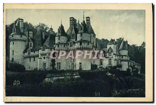 Cartes postales Usse Le Chateau Vue d'ensemble