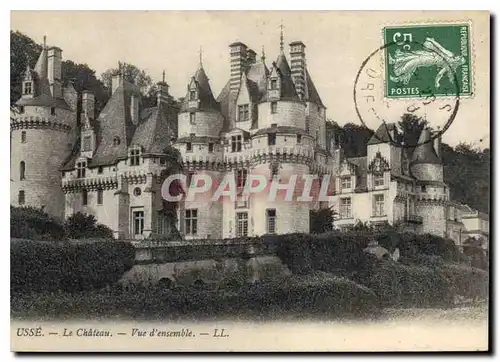 Cartes postales Usse Le Chateau Vue d'ensemble