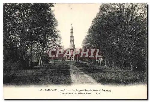 Cartes postales Amboise La Pagode dans la foret d'Amboise