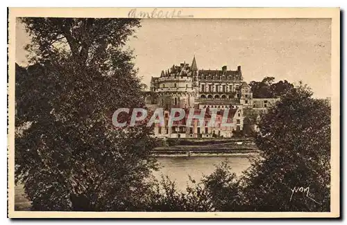 Cartes postales Chateaux de la Loire Le Chateau d'Amboise vu des bords de la Loire