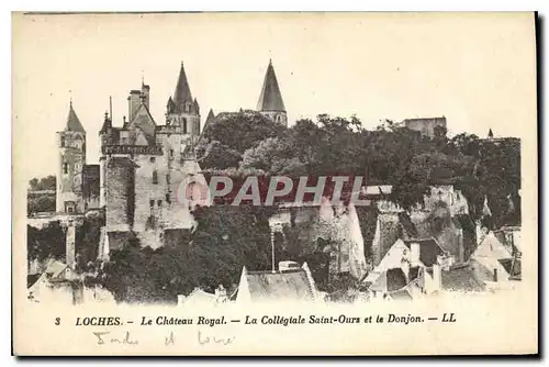 Cartes postales Loches Le Chateau Royal La Collegiale Saint Ours et le Donjon