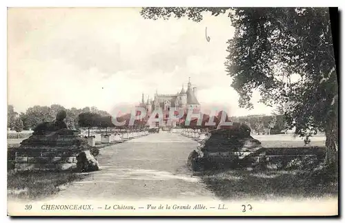 Cartes postales Chenonceaux Le Chateau Vue de la Grande Allee