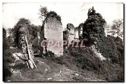 Ansichtskarte AK Ruines du Chateau de Vaujours L & L