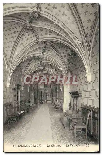 Cartes postales Chenonceaux le Chateau le Vestibule