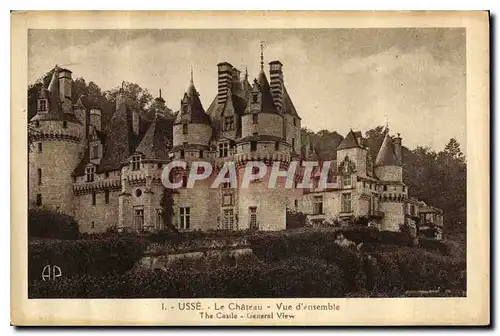 Cartes postales Usee le Chateau vue d'ensemble