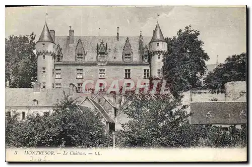 Cartes postales Montresor le chateau