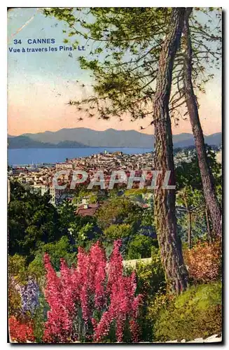 Cartes postales Cannes Vue a travers les Pins