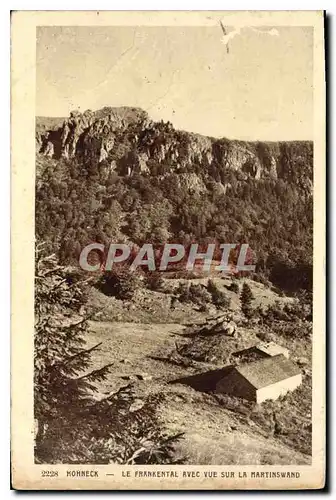 Cartes postales Hohneck Le Frankental avec vue sur la Martinswand