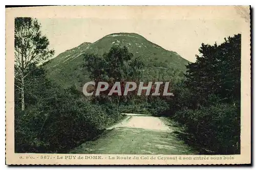 Cartes postales Le Puy de Dome La Route du Col de Ceyssat a son entree sous bois