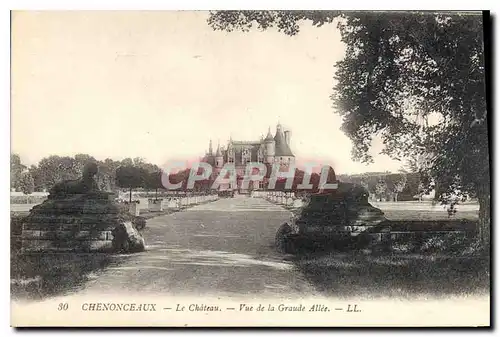 Cartes postales Chenonceaux Le Chateau Vue de la Graude Allee