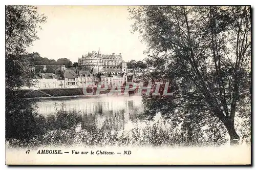 Cartes postales Amboise Vue sur le Chateau