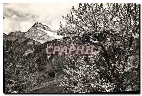 Ansichtskarte AK N D de Bellecombe Savoie Le Mont Charvin